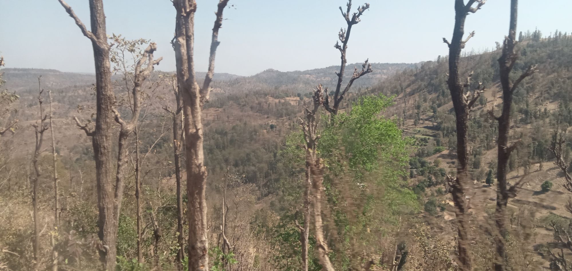 img_20250321_0647372630055840659179173