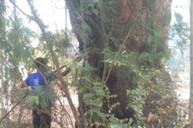 img_20250430_1413086305652531882430847